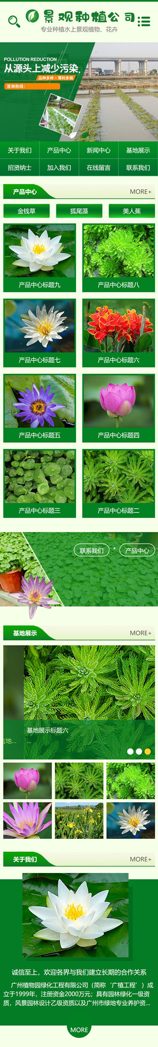 网站首页