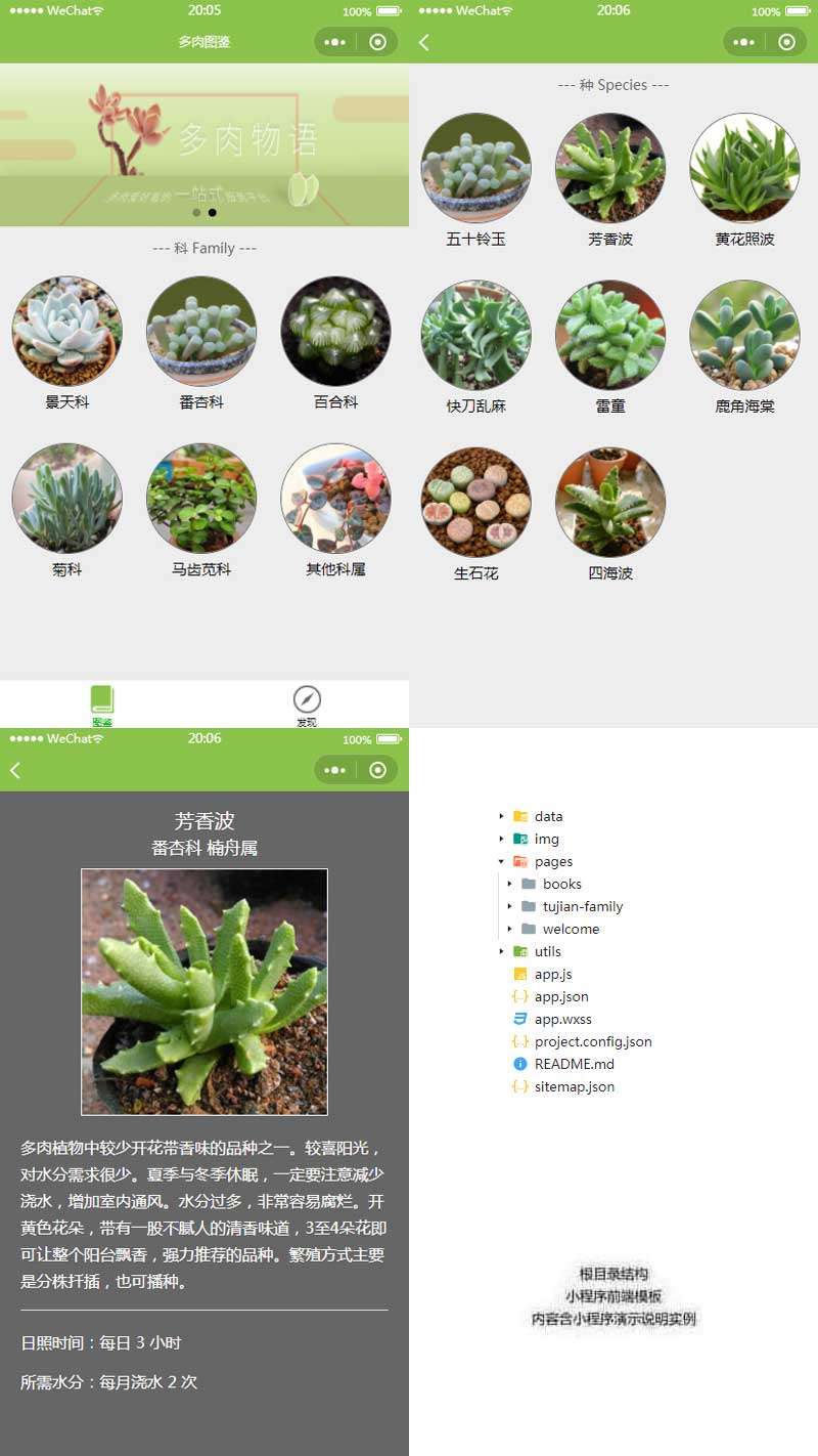 在线免费看三级片网站 多肉植物图鉴小程序模板(图1)
